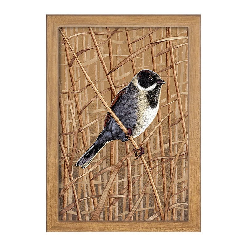 تابلو خندالو مدل پرنده کد F2862