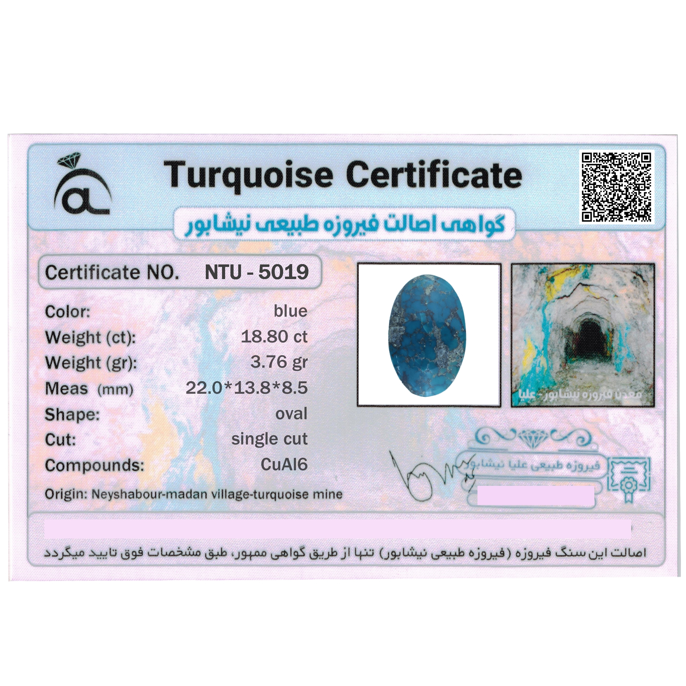 سنگ فیروزه نیشابور مدل طبیعی 18.80 کد NTU-5019