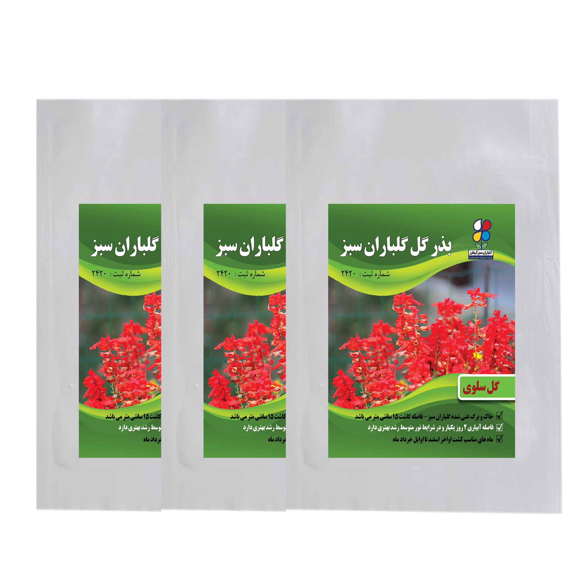 مجموعه بذر گل سلوی گلباران سبز گیلان مدل GS3 بسته 3 عددی