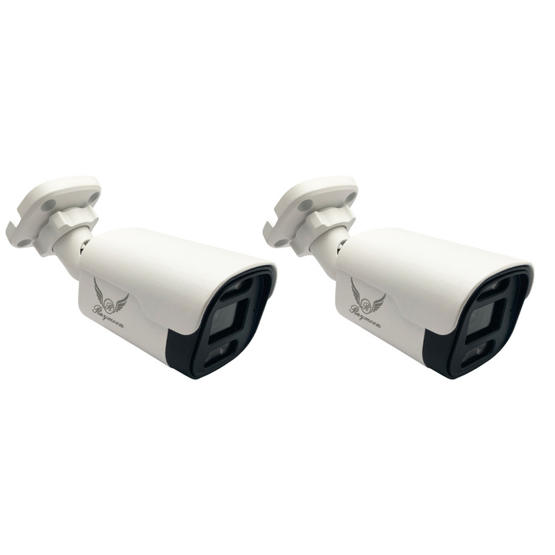 دوربین مداربسته AHD رایمون مدل 2 مگاپیکسل کد 8235 بسته دو عددی