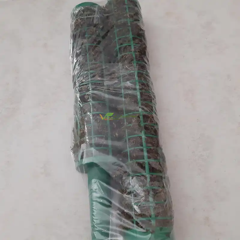 قیم بند مدل خزه دار کد 90cm