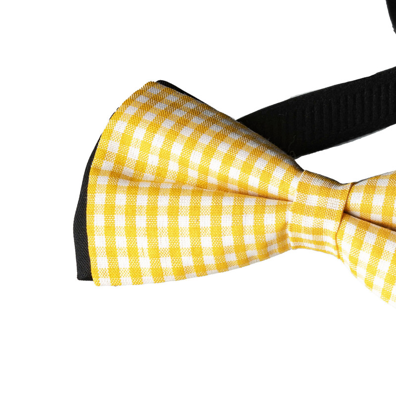 پاپیون مردانه مدل pt120