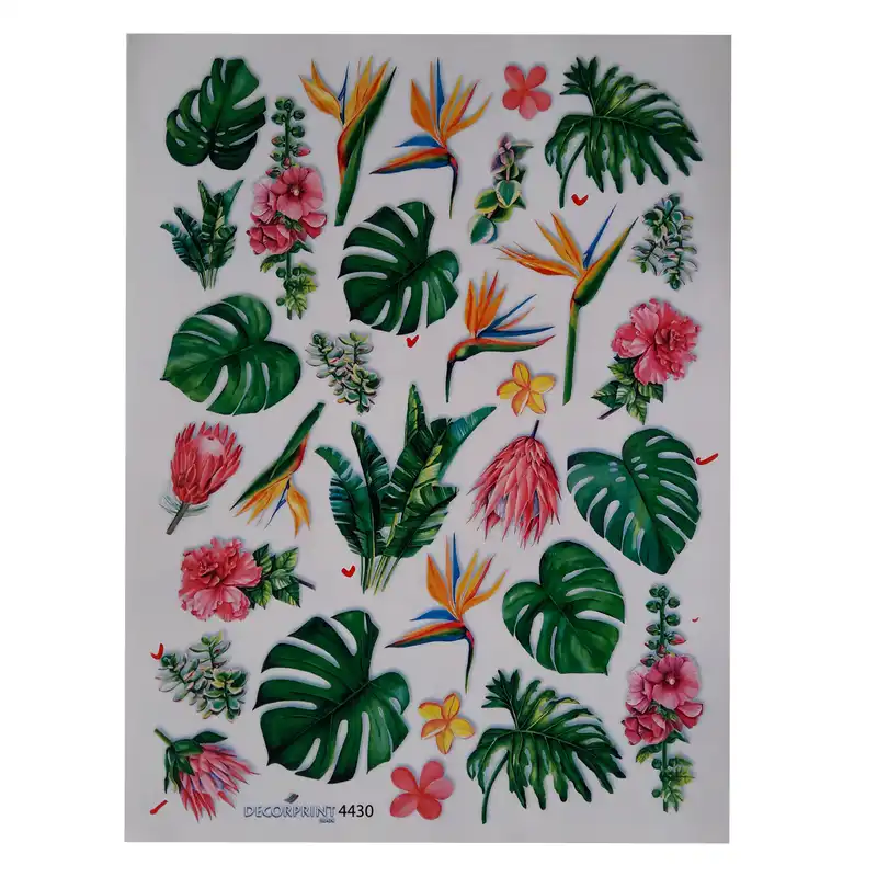 برچسب ترنسفر مدل برگ های استوایی کد 1