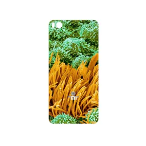 MAHOOT Atom Universe 6 Cover Sticker for Xiaomi Mi 5s