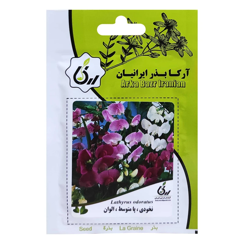بذر گل نخودی پا متوسط الوان آرکا بذر ایرانیان کد ARK-002 