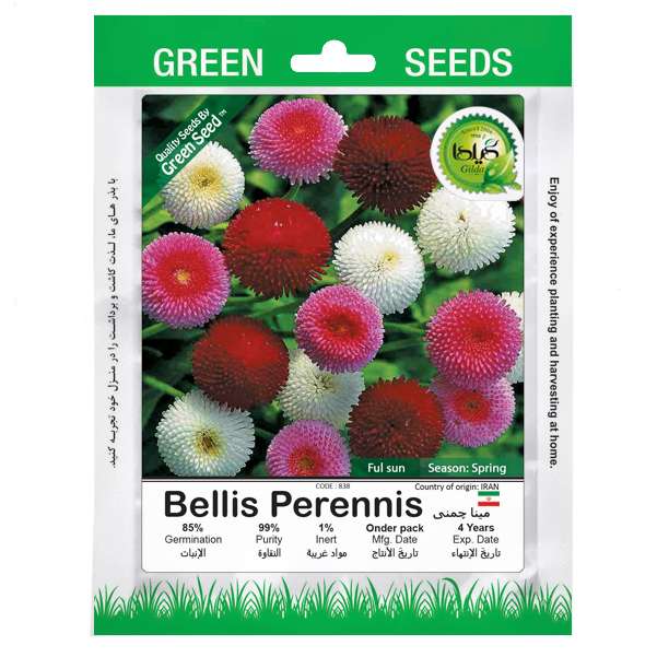 بذر مینا چمنی گیلدا کد 838 بذر مینا چمنی گیلدا کد 838