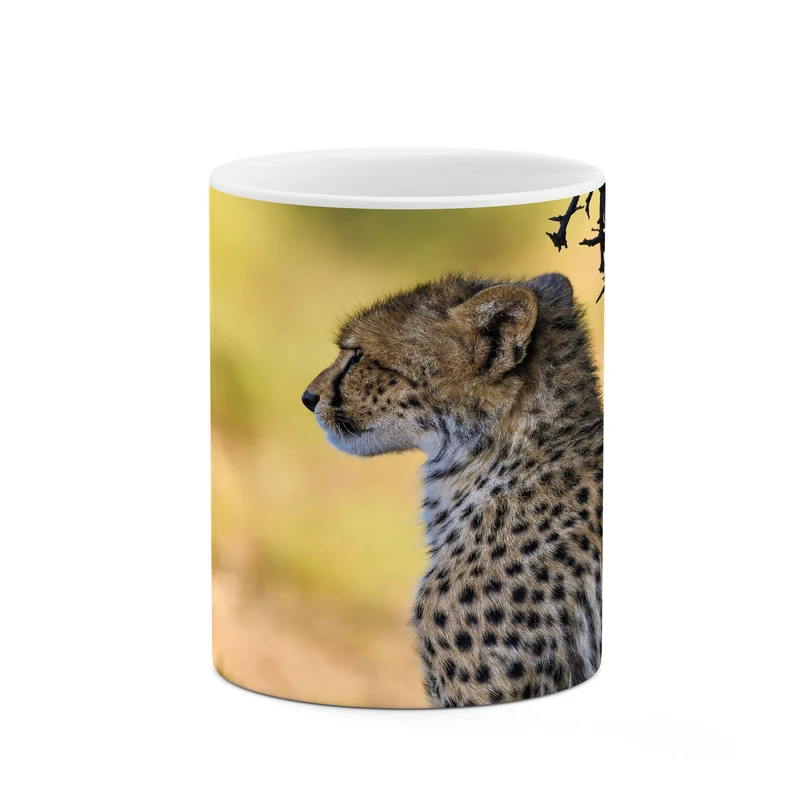 ماگ کاکتی مدل پلنگ کد mgh17184