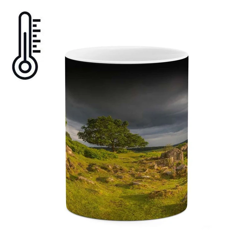 ماگ حرارتی کاکتی مدل منظره کد mgh16332