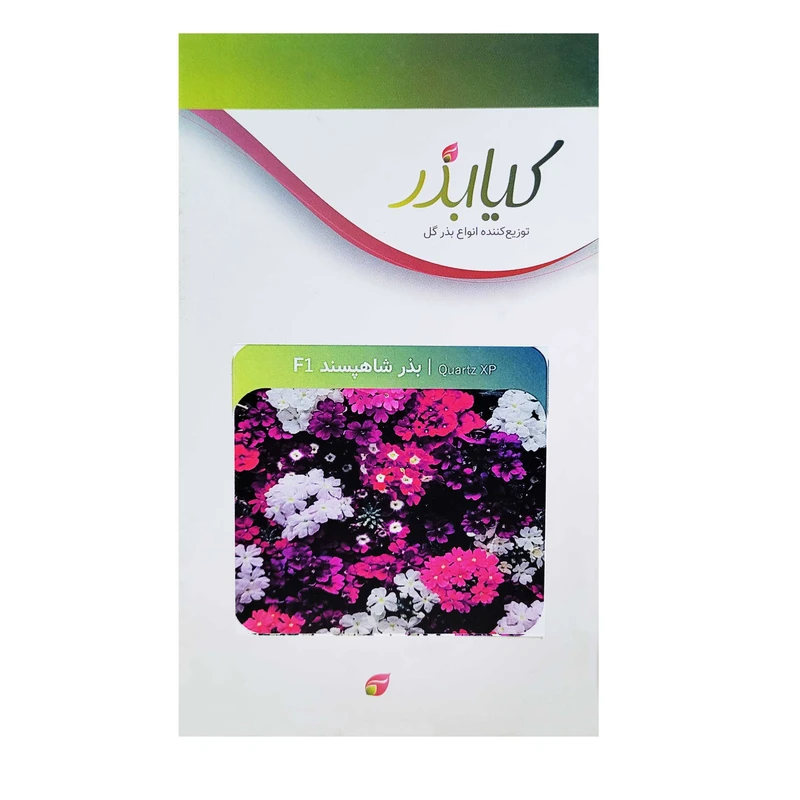 بذر گل شاهپسند F1 کیا بذر کد 012