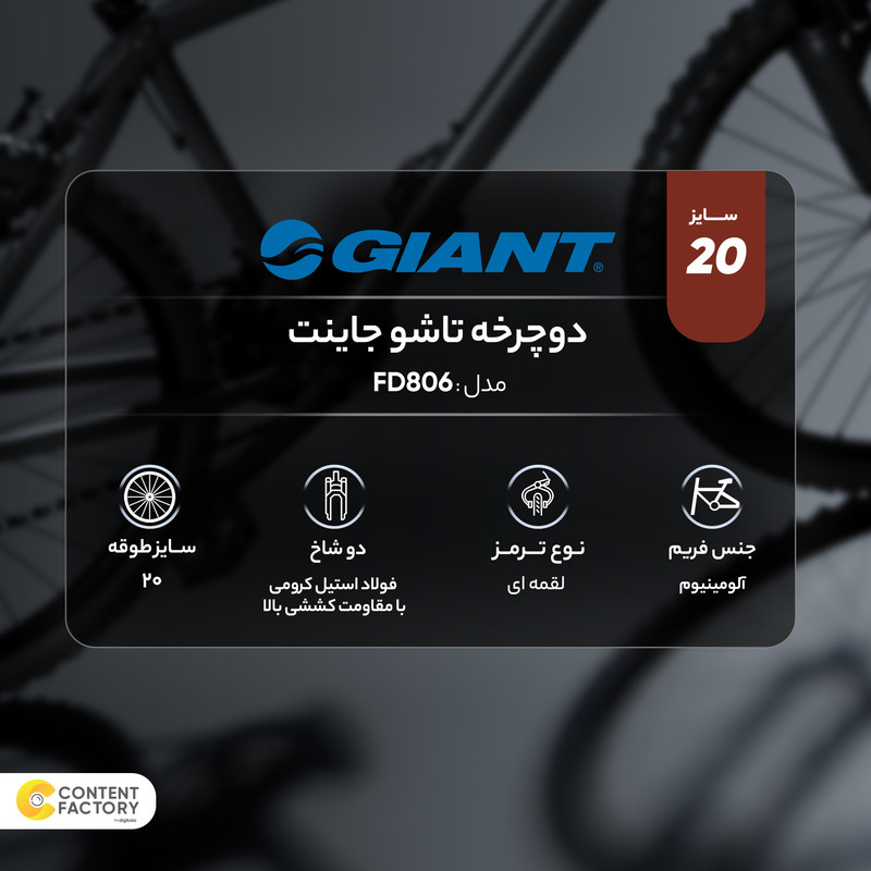 دوچرخه تاشو جاینت مدل FD806 سایز 20