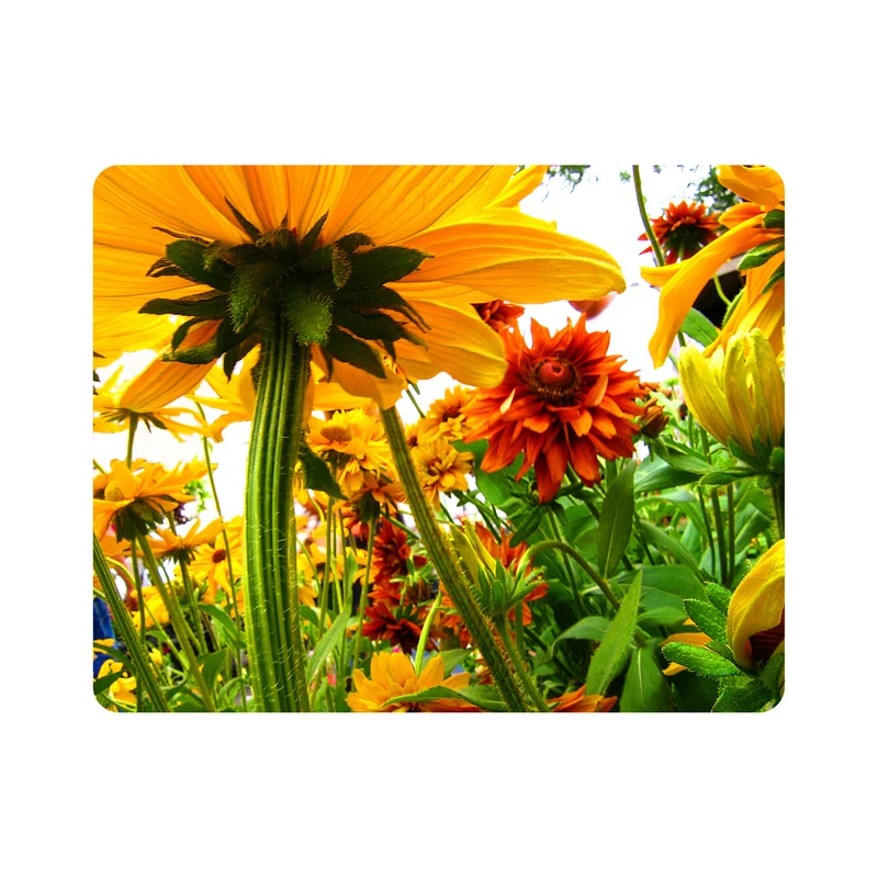 ماوس پد اطلس آبی طرح  گل آفتابگردان  مدل T7252