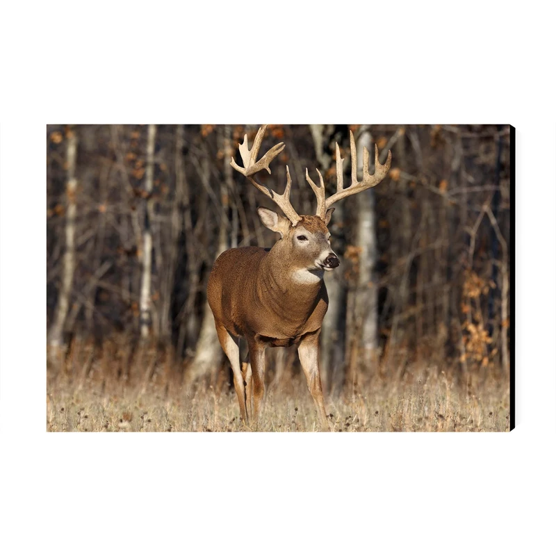 تابلو شاسی عرش مدل فانتزی گوزن کد As4798