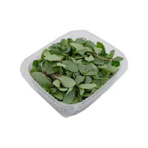 نعنا موهیتو درجه یک - 65 گرم