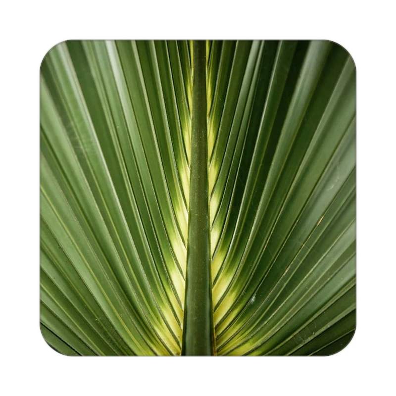 زیر لیوانی کاکتی طرح گل مدل mp18079