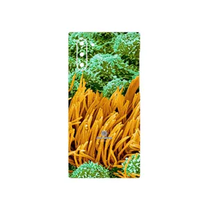 MAHOOT Atom Universe 6 Cover Sticker for Samsung Galaxy Note 10