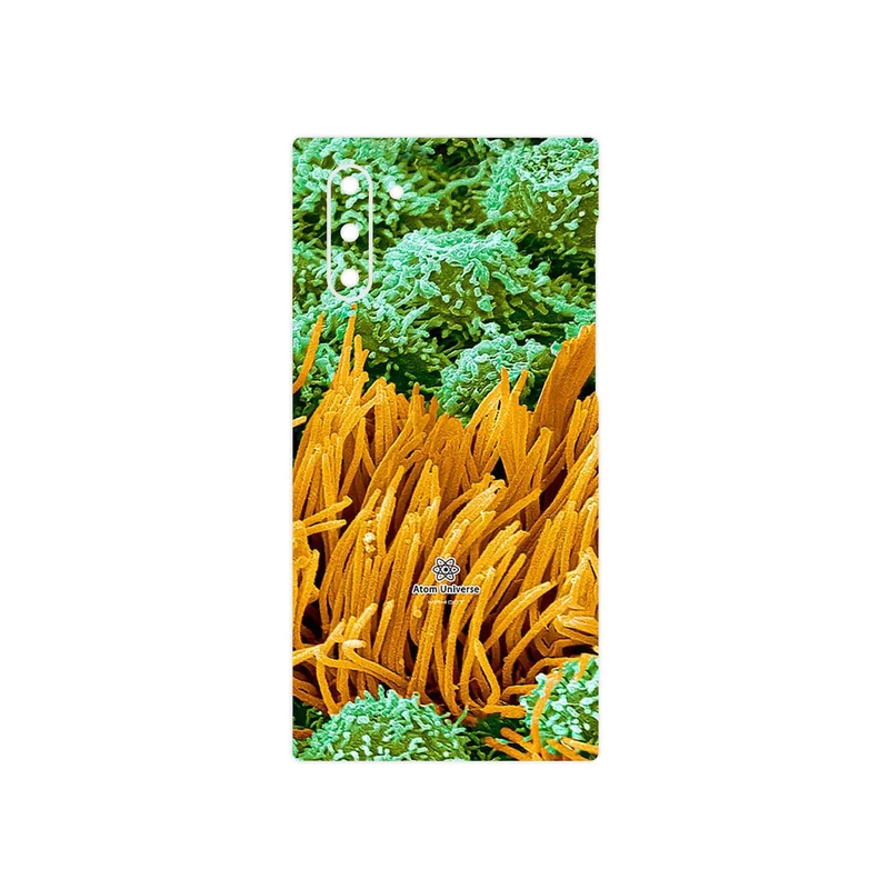 برچسب پوششی ماهوت مدل Atom Universe 6 مناسب برای گوشی موبایل سامسونگ Galaxy Note 10