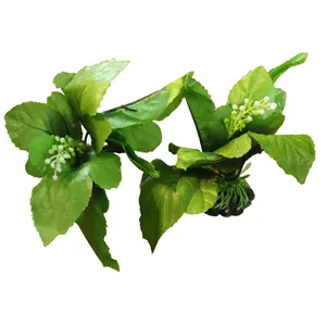 گیاه تزیینی آکواریوم مدل ۰۰۰۱ بسته دو عددی