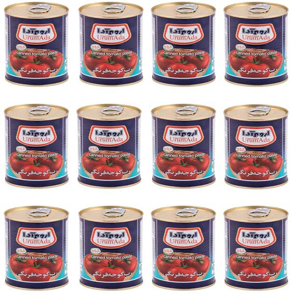 کنسرو رب گوجه فرنگی اروم آدا - 800 گرم بسته 12 عددی