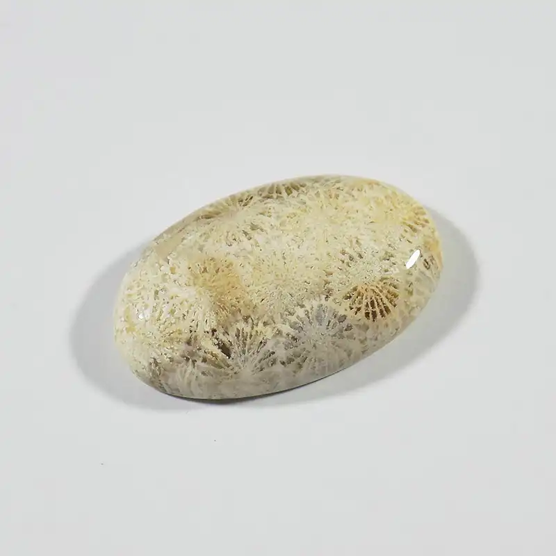 سنگ فسیل مرجان کد TG6545