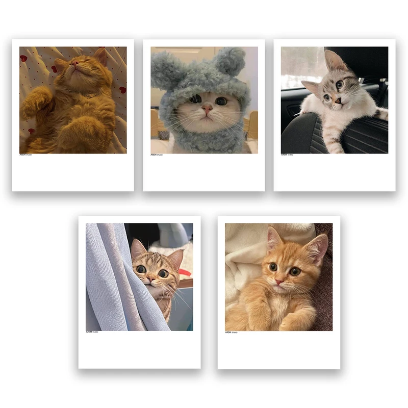 آویز تزیینی عرش مدل فانتزی گربه بامزه کد Asa337 مجموعه پنچ عددی