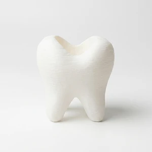 جامسواکی مدل tooth