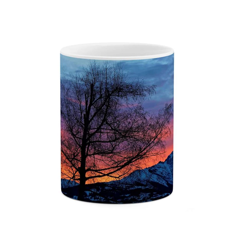 ماگ کاکتی مدل منظره کد mgh13254