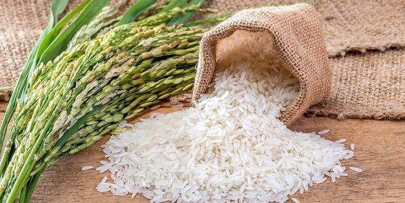مشخصات و قیمت
برنج صدری دم سیاه دودی گیلان کشت مقدار 500 گرم 2 quality,q 70