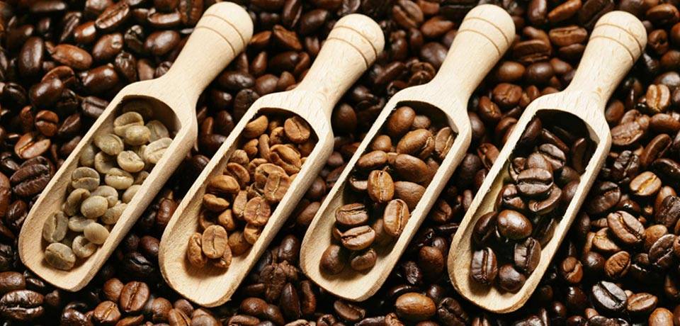 عکس انواع دانه های قهوه