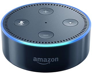 2 echo dots