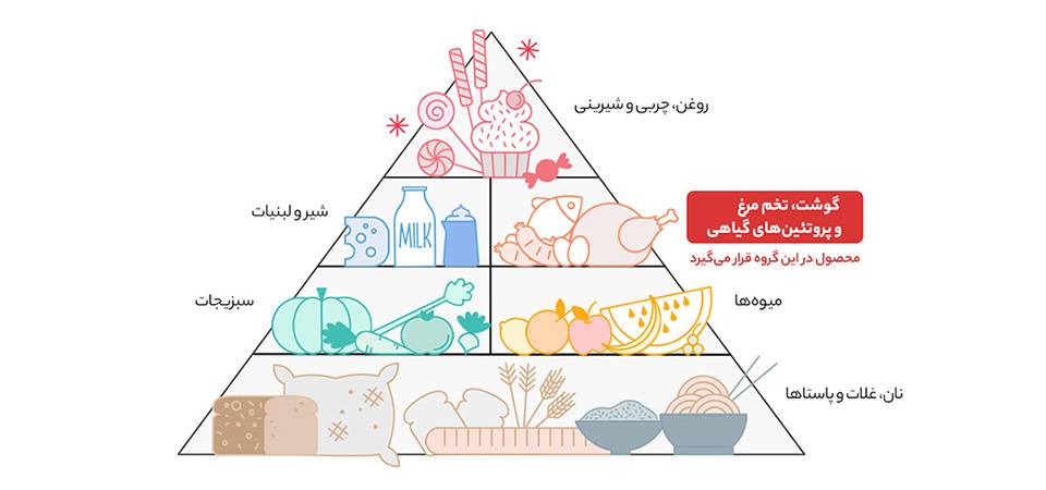 مشخصات و قیمت
کنسرو رب گوجه فرنگی شیلانه مقدار 800 گرم 4 quality,q 70