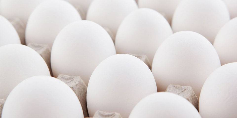 رذلذ رذلذ