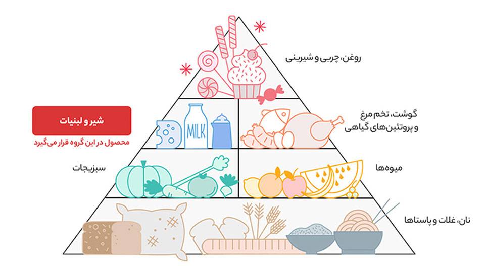مشخصات و قیمت
پنیر نسبتا چرب دومینو - 400 گرم 4 quality,q 70