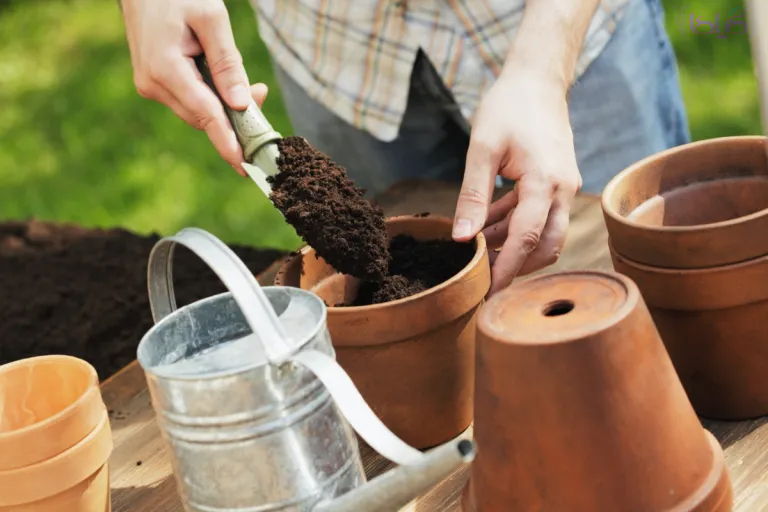نکات کاربردی برای استفاده حرفه‌ای